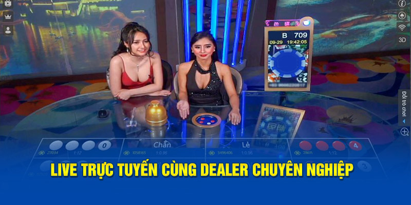 Live trực tuyến cùng dealer chuyên nghiệp 