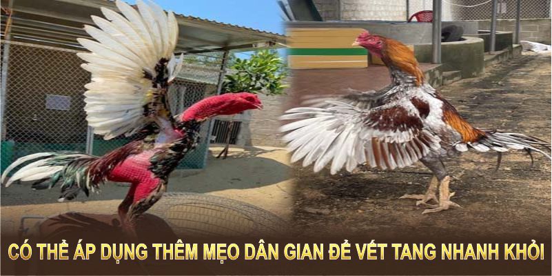 Có thể áp dụng thêm mẹo dân gian để vết tang nhanh khỏi 