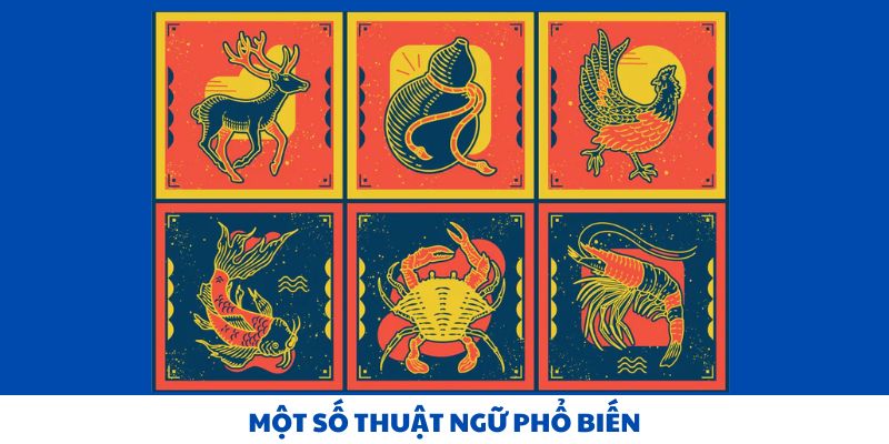 Một số thuật ngữ phổ biến